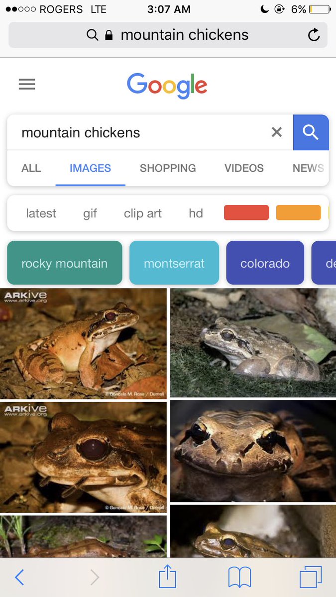 CDKpolls's tweet image. @NatGeo wtf...