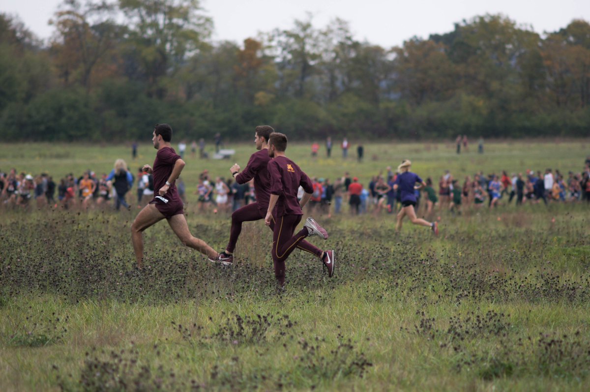 CrossProb's tweet photo. the race to see the race https://t.co/3xpGreGK40