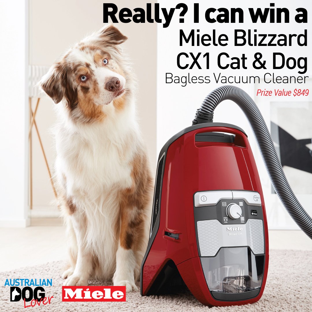 OzDogLover's tweet image. *** COMPETITION TIME ***
.
If you're losing the battle against #pet hair in your house, this will help ...
WIN a #Miele #BlizzardCX1 #catanddog #baglessvacuum (RRP: $849) for 🤶🎁 Entries close 09/12/17 (2pm). australiandoglover.com/2017/12/miele-…