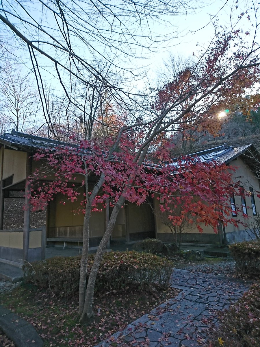 ダリア 花騎士 Twitter Search ダリア 花騎士 Twitter Search