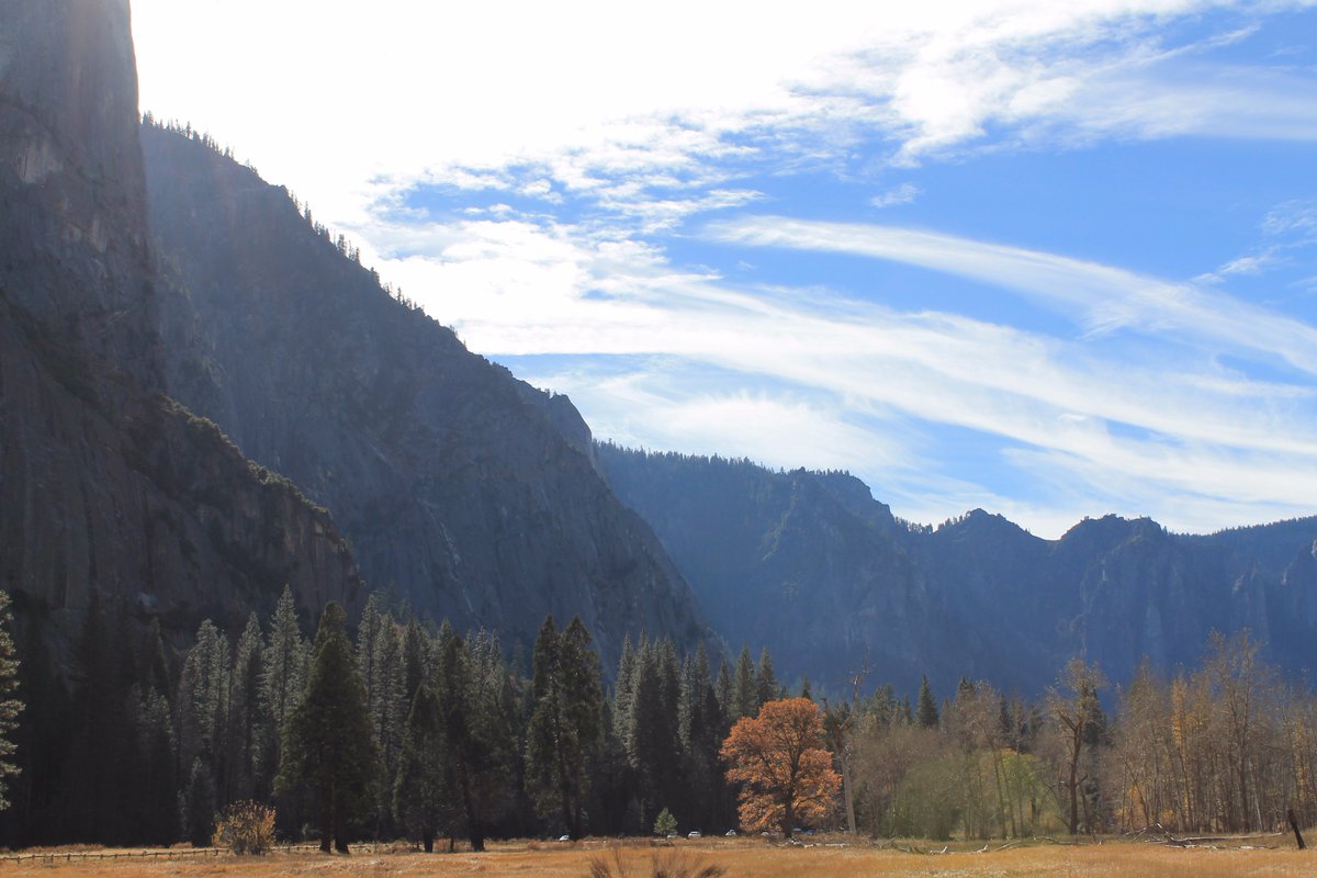 olsonk95's tweet image. #supportsmallbusiness #photography #beautiful #memories #portraitphotography  #lanscape#family #Gofundme #yosemite #behappy #goodvibes #photographer