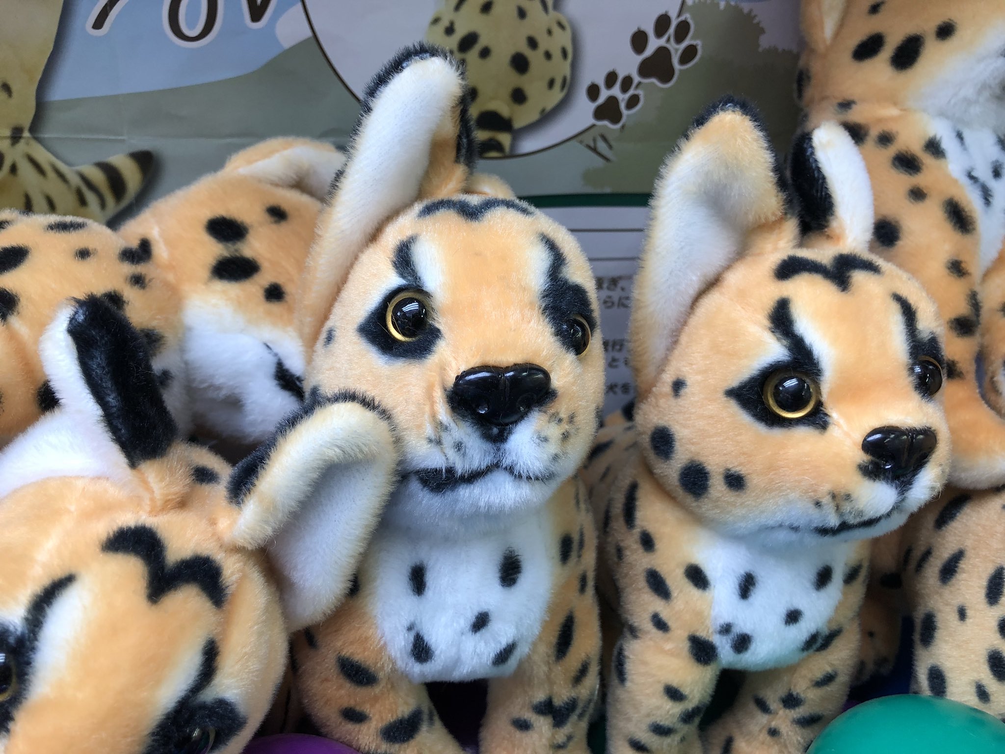 非売品☆けものフレンズ☆サーバルパペット☆ぬいぐるみ☆A賞