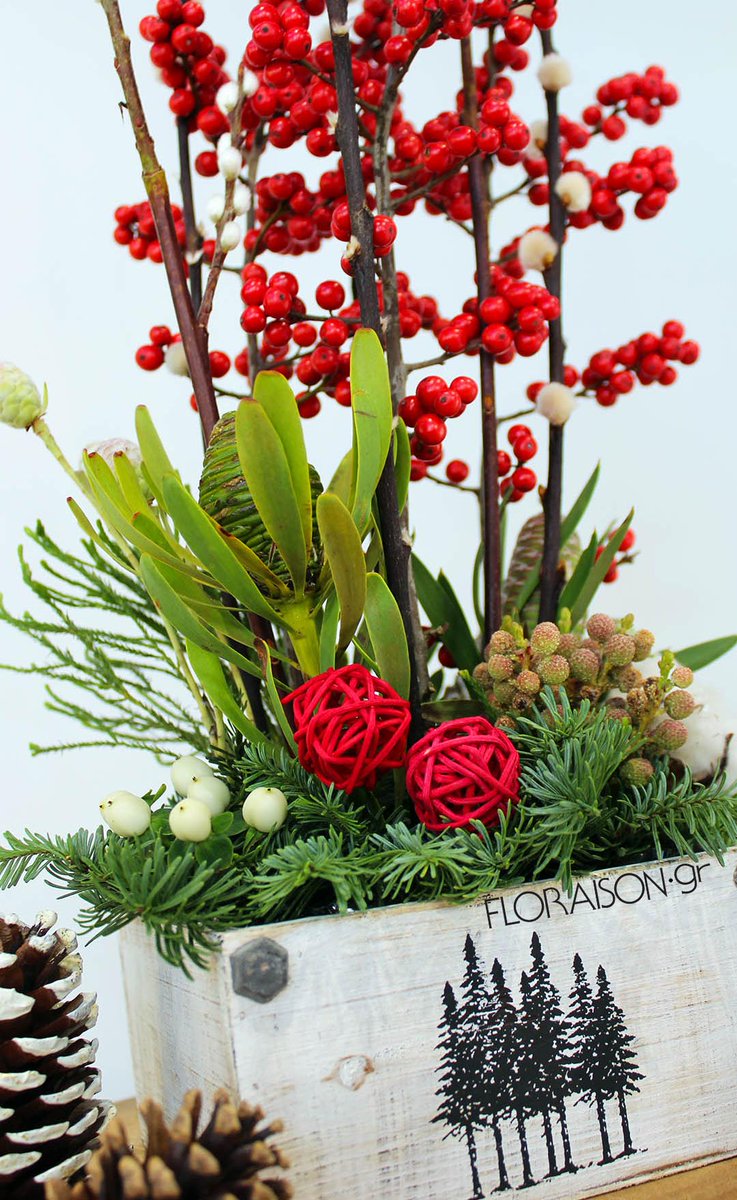 Floraison Gr On Twitter Kalhmera Good Morning Https