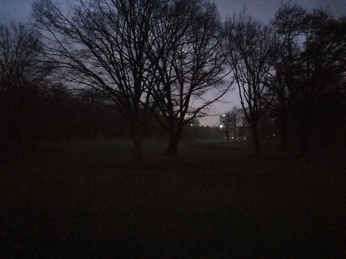 Berlin-Hasenheide kurz nach 7. Keine Dealer, nix Polizei, nich mal gevögelt wird. Faules Pack. #failedcity