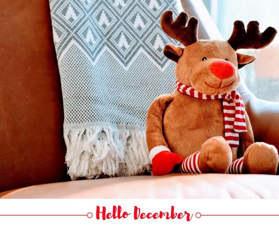 bigtomindia's tweet photo. Our favourite time of the year is here! 
#bigtom #toystore #hellodecember #december #toyshop #kidswear #kidsfashion #toddler #toys #educationaltoys #mumbai #colaba #chirstmas https://t.co/wmFruLSpg4
