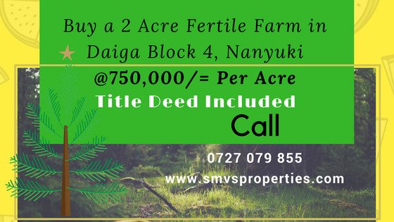 SmvsProperties tweet picture