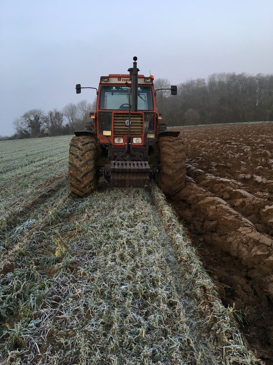 dlljustin's tweet photo. On profite du gel matinal pour faire un labour sans tasser notre sol dans l’Aisne. Précédent moutarde anti-nématode, culture suivante Betterave. #fiat#demblon#agriculteur https://t.co/73PKDCY6sk