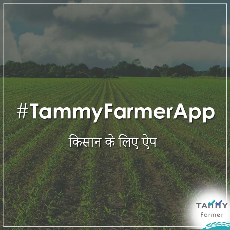 tammytrade's tweet photo. Tammy Farmer App -
For Download our app visit here - https://t.co/kjuAMVppvM ..
#TammyFarmerApp #FarmerApp #किसानऐप #किसान #Farmer #DigitalIndia https://t.co/vmDSVQ68ux