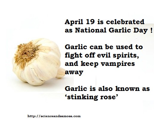 ScienceSamosa's tweet photo. Things you did not know about everyday life We use garlic everyday, but did you know these facts ????
Read more @ https://t.co/BZVqCX3Wpw
#HealthWellnessScience #BlogchatterProjects https://t.co/stqOGuNRGc