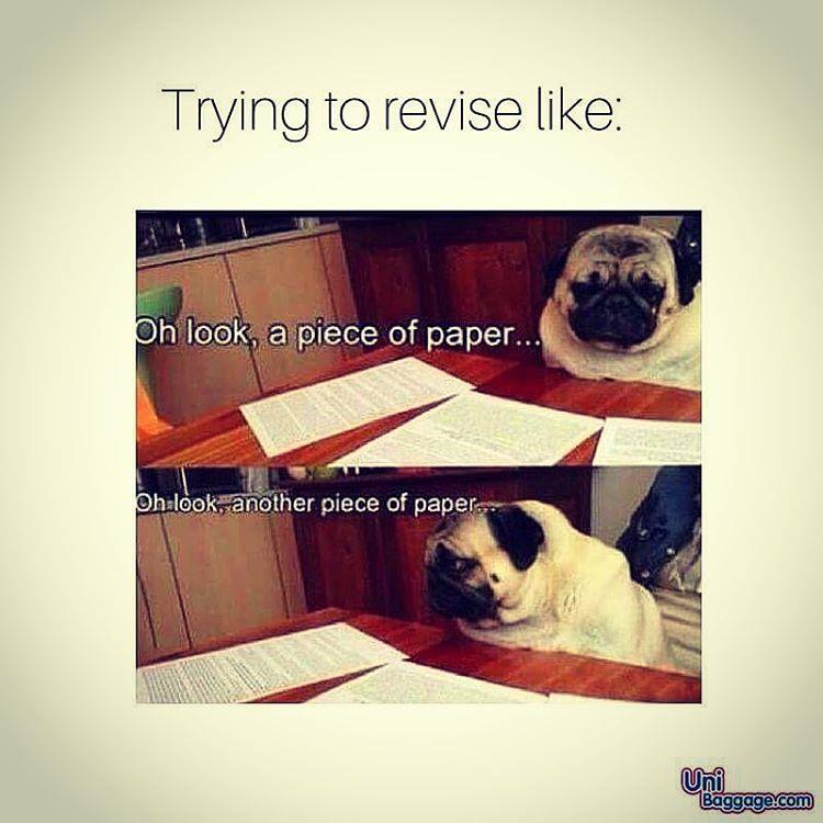 Univershitty (@univershitty_oh) on Twitter photo 