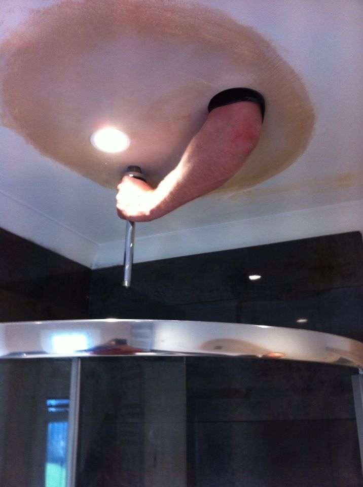 raventiling's tweet image. Ceiling has grown an arm!!!!