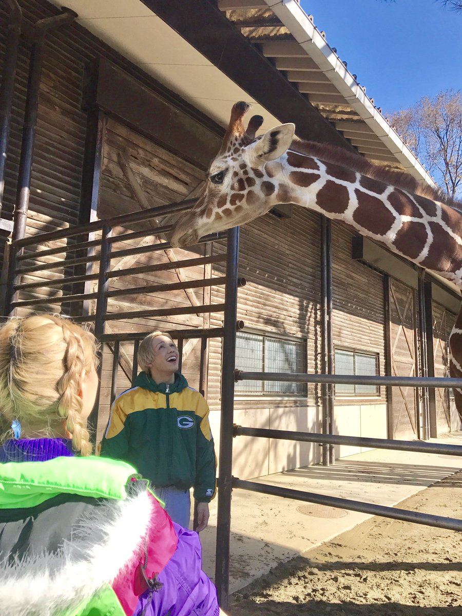 RYUZi33WORLD929's tweet photo. 愛媛!! とべ動物園でのトークイベント本当に本当にありがとうございました〜〜👏🏾🌈🎶

1部も2部も、たくさんのおともだちが来てくださり幸せでした😭❤️🎉また会いにくるね!!!!!

キリンさんとも遊べてHAPPY〜〜🦋💜🎶 https://t.co/VEXrW69cew