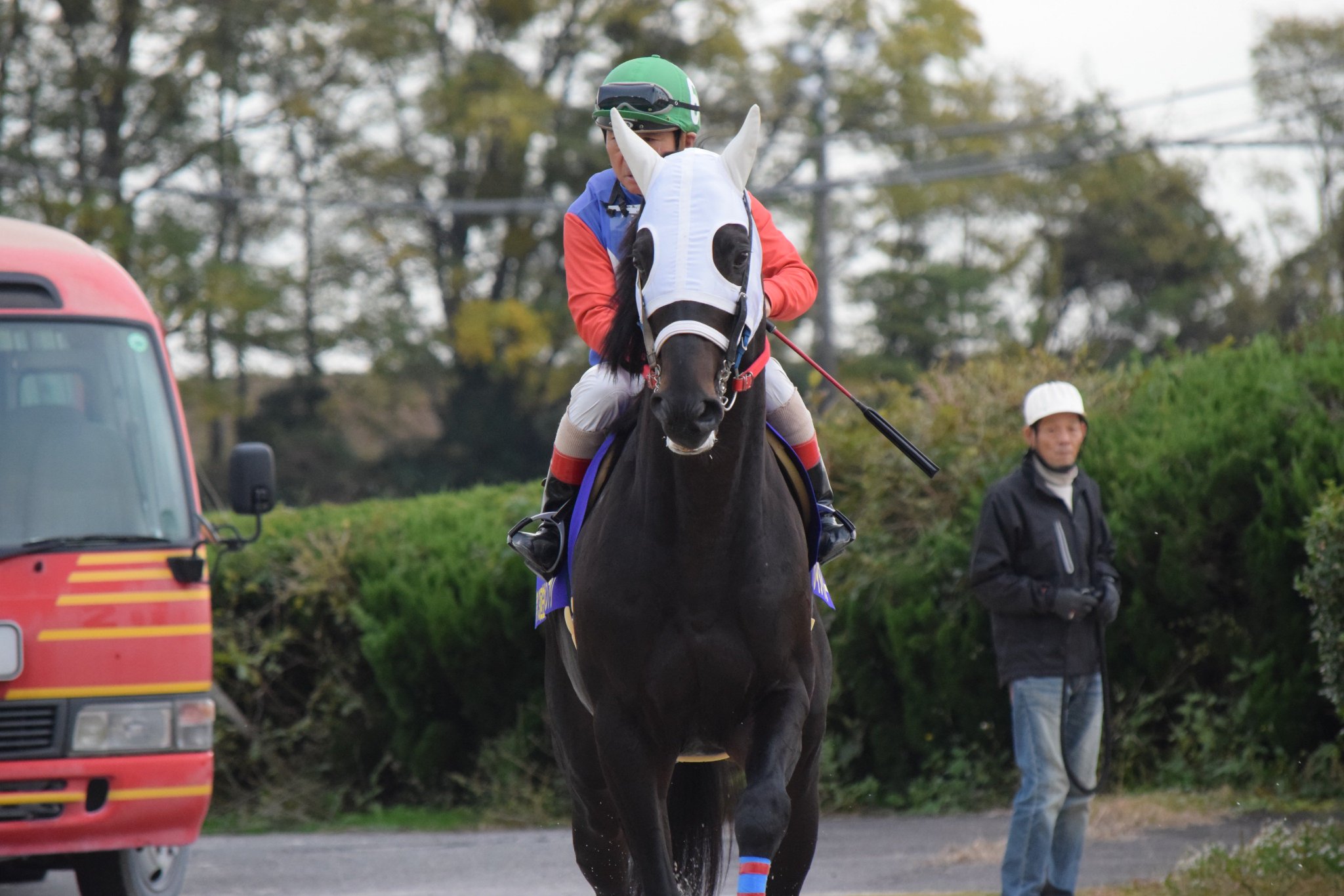 ぺぺろん on Twitter