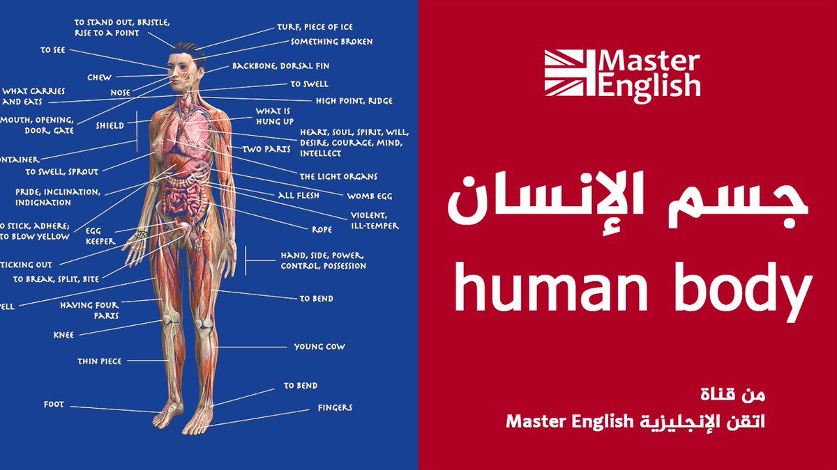 Master12346Q's tweet photo. تعلم اللغة الانجليزية بسهولة - جسم #الانسان 👫👬

من هنا: https://t.co/X1ANtXT2co

لاتنسى الاشترك بالقناه 😍😍

#تعلم_الانجليزية #LearnEnglish
#السعودية #عرب #دبي #لايك #saudi #الامارات #الاردن
#ألمانيا #بلجيكا #النرويج #الشارقة #أبوظبي #USA #الكويت
 #عمان #قطر #مصر #السويد https://t.co/jCoUj9jIj3
