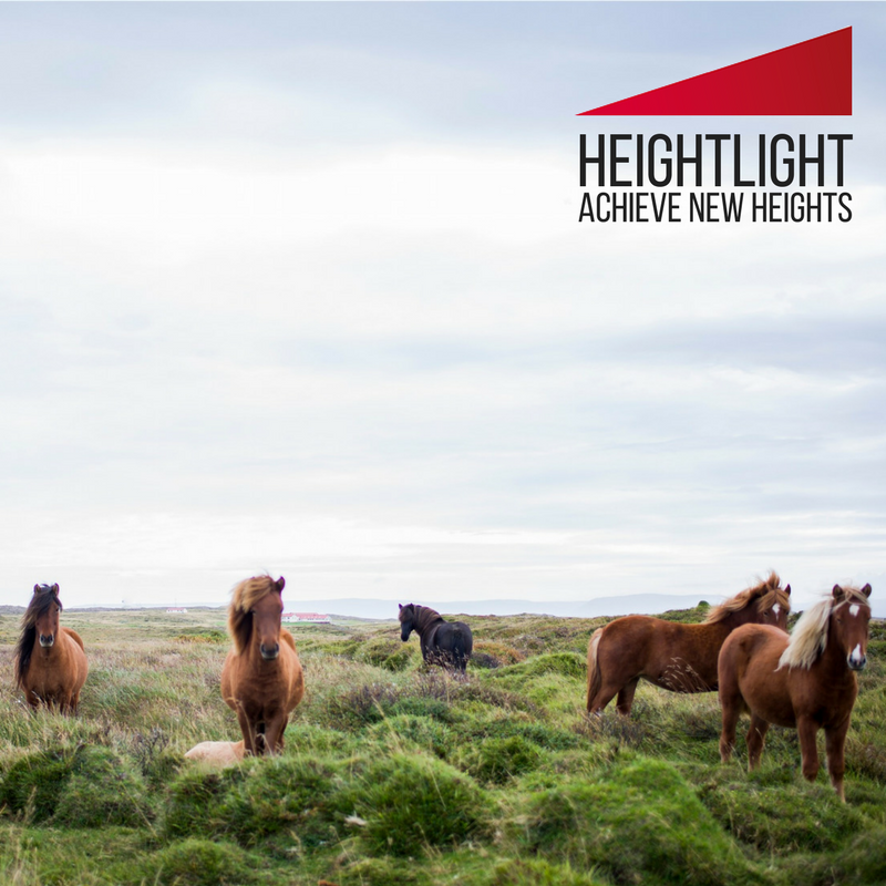 HeightLightTech's tweet photo. HeightLight™ is the first hand-held, laser #height #measurement device + specialising in #equine measurement. Follow our page for updates. https://t.co/s39JNVLGZk