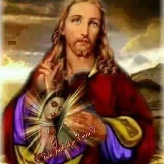 Yo soy como el ave fenix cuando uno tiene a Dios no existe mal que te haga caer 😄💪
