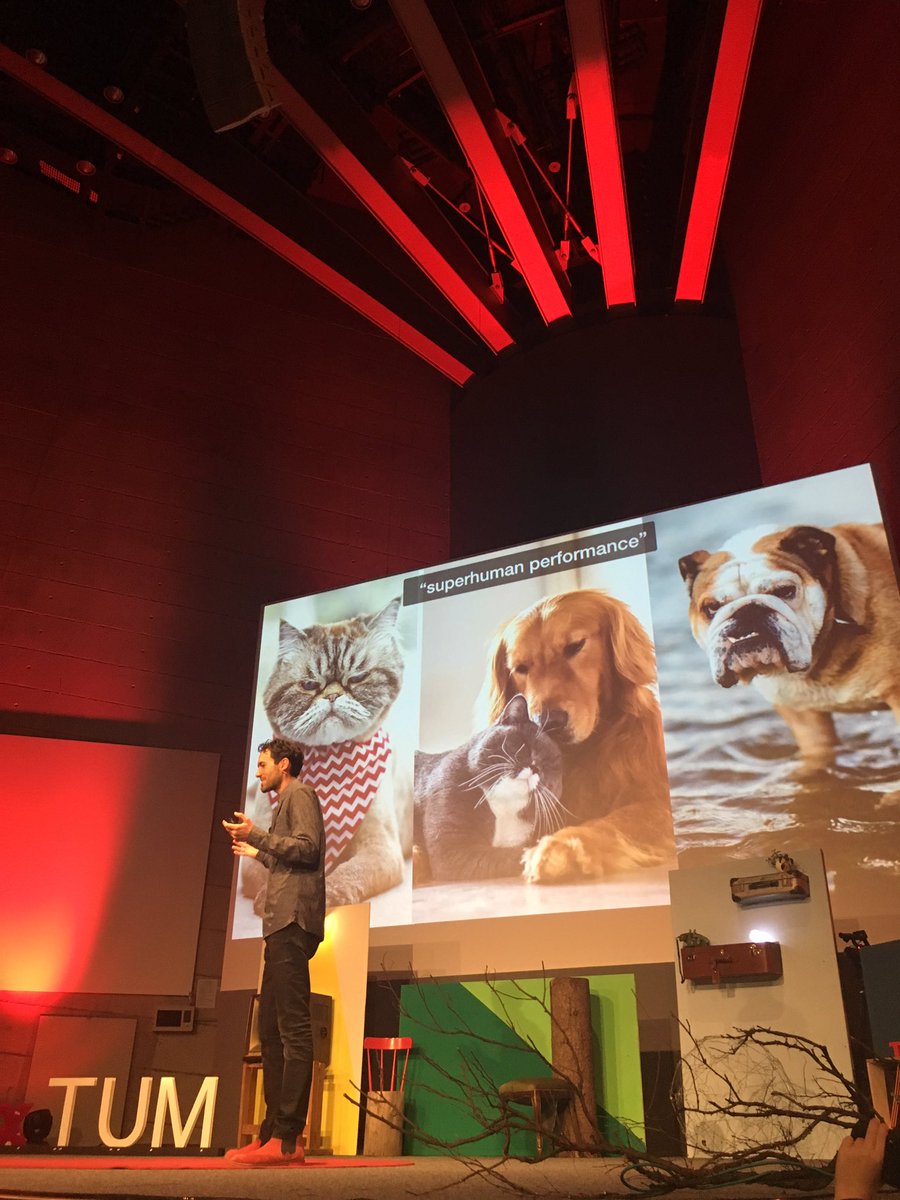 TEDxTUM's tweet photo. Deep leaning is not just for cats and dogs! Nils is here to share some insights from his research on smoke simulation. #textum https://t.co/C6qH8LQxzY