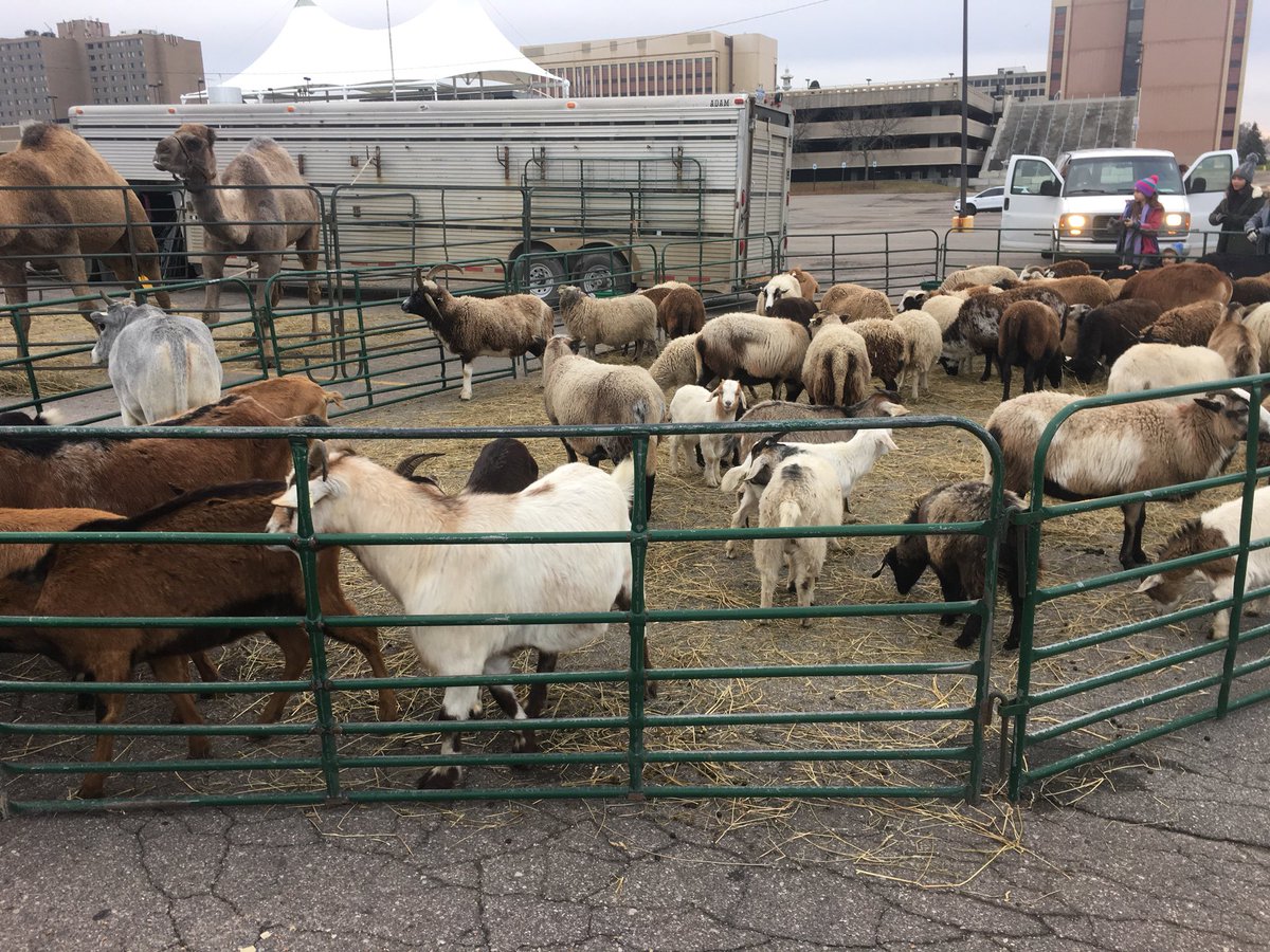 What’s this?!  The goats and camels are excited for the <a href="/HEParade/">Holiday Extravaganza</a> to start in #DowntownPontiac