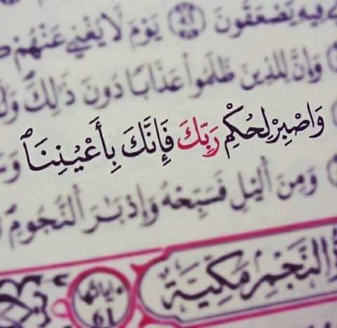 scilolo2's tweet photo. #صاحب_تويتر_بفلورزالسبت https://t.co/GdeqarLIp4
