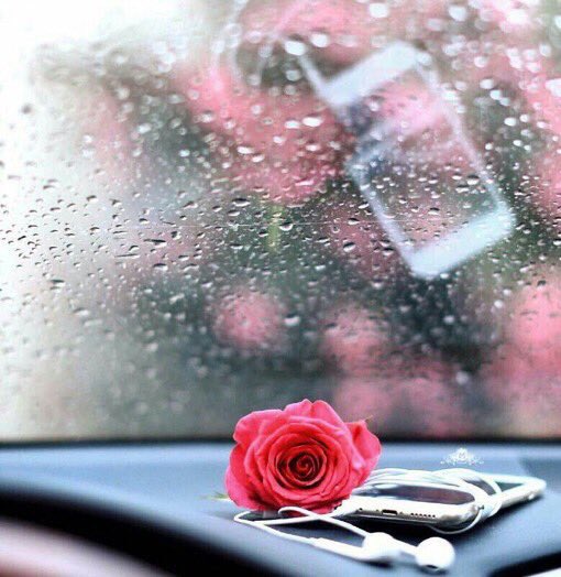 Bador877's tweet photo. حنا نحب الصدق ونقول الصحيح   
وقلوبنا .. ما كل من  جاها قلط..
#بدور
.
.
#قروب_راشد_للدعم
#قروب_سقاني_الهوى
#قروب_شامخ_العز https://t.co/7yaJOMLdjY