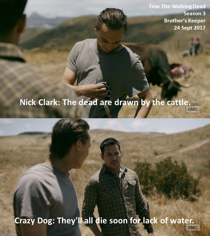 DoctorDoubleTap's tweet photo. #Nick Clark: The dead are drawn by the cattle.
#CrazyDog: They'll all die soon for lack of water.
#FearTheWalkingDead
Season 3
#BrothersKeeper
24 September 2017
#ZombieApocalypse
#FrankDillane
#JustinRain https://t.co/3MrTD5oGpP