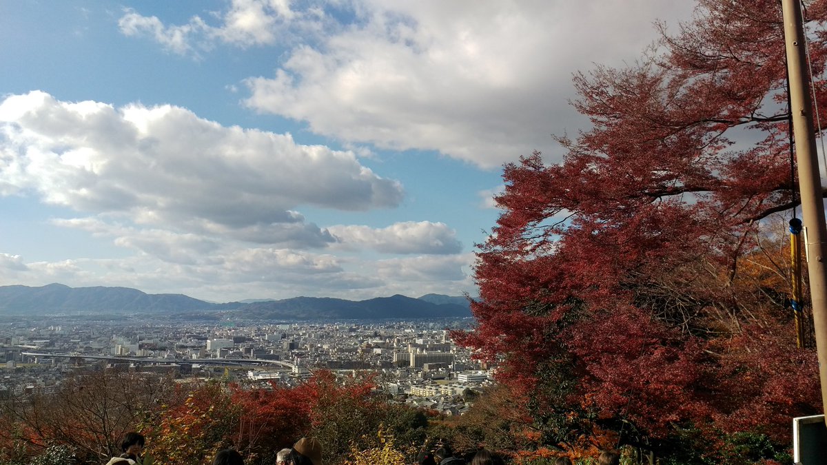 abbyojo1997's tweet photo. 中学からの友達が京都にきているので、観光デーでした！
あと全然観光関係ないけど、河原町で飛行機のイヤリングを見つけちゃっ��、完全な衝動買い。 https://t.co/uxOI1DI4Qz
