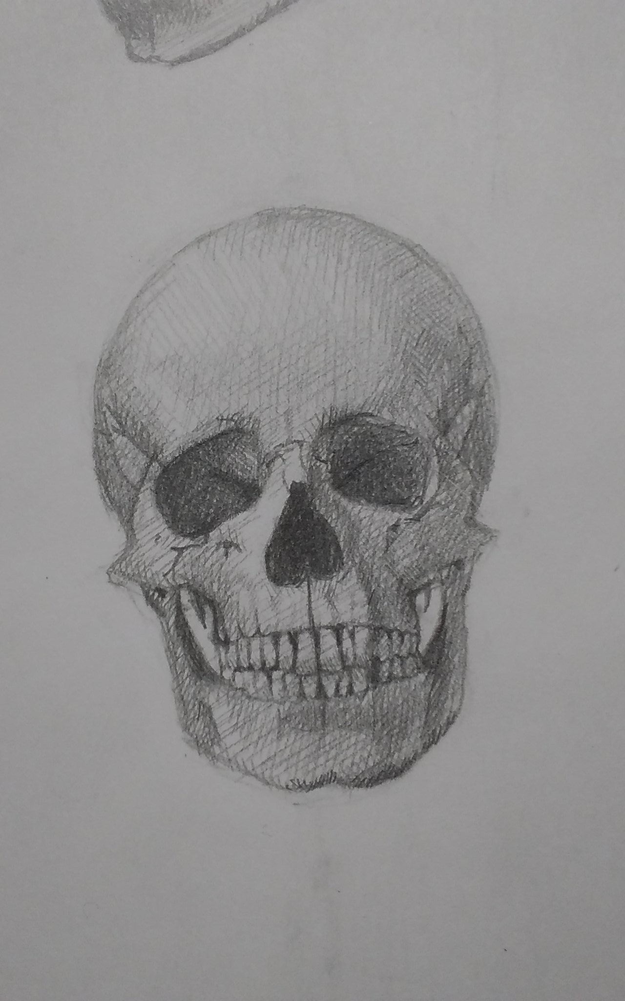 タニキセナ 3dcg En Twitter 骸骨の模写 見ないで骸骨描けるようになりたい 絵描きさんと繋がりたい 少しでもいいなと思ったらrt がいこつ 模写 妖怪 タニキセナ 3dcg En Twitter 骸骨の模写 見ないで骸骨描けるようになりたい 絵描きさんと繋がりたい 少しでもいいなと思ったらrt がいこつ 模写 妖怪