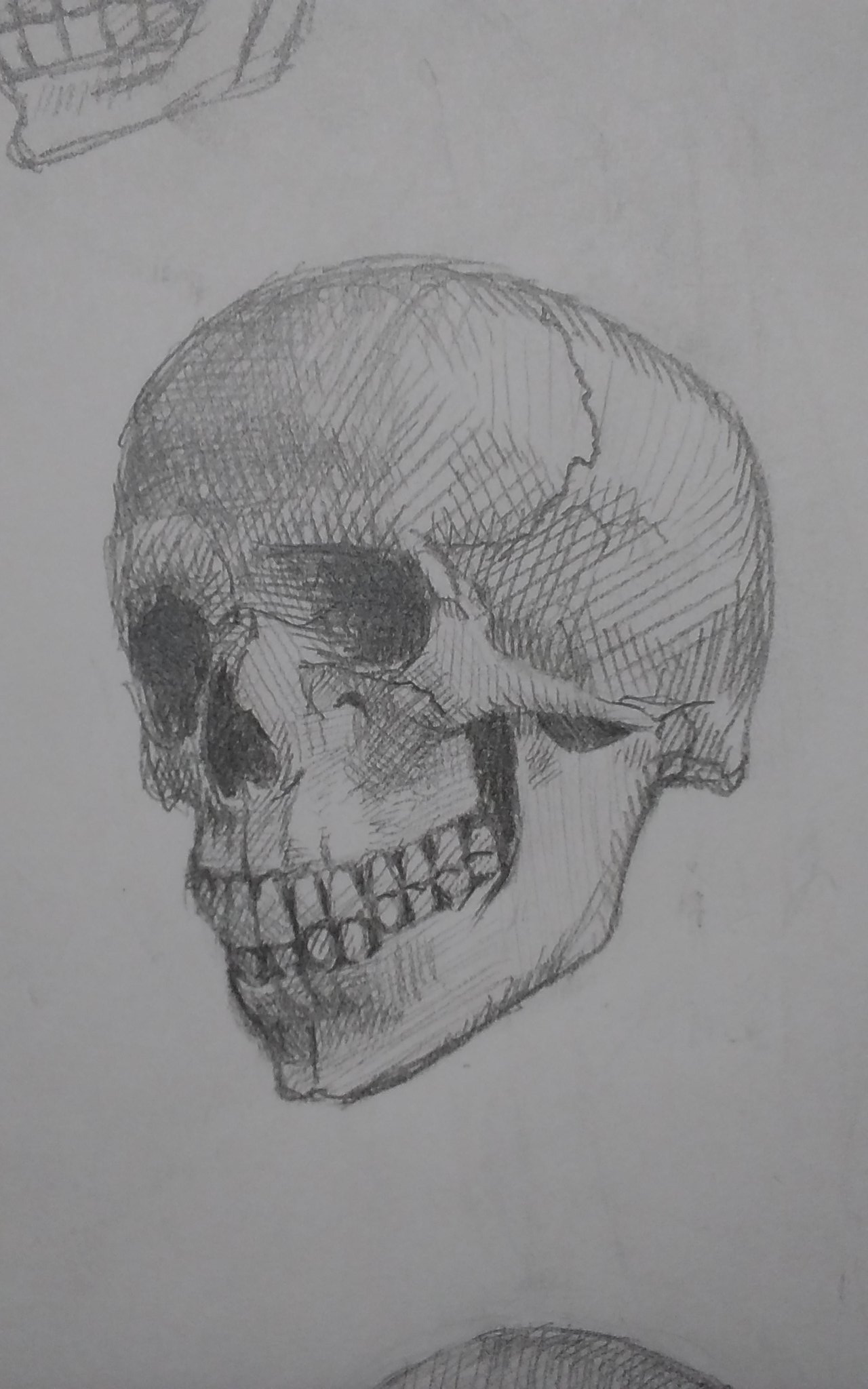 タニキセナ 3dcg En Twitter 骸骨の模写 見ないで骸骨描けるようになりたい 絵描きさんと繋がりたい 少しでもいいなと思ったらrt がいこつ 模写 妖怪 タニキセナ 3dcg En Twitter 骸骨の模写 見ないで骸骨描けるようになりたい 絵描きさんと繋がりたい 少しでもいいなと思ったらrt がいこつ 模写 妖怪