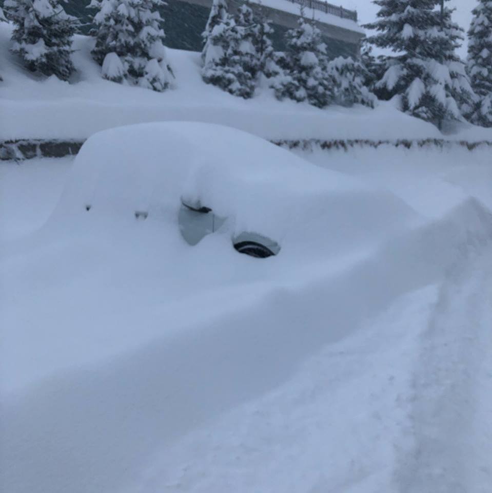 severeweatherEU's tweet photo. Thick fresh #snow in Artesina (CN), Piemonte, NW #Italy at 1400 m elevation this morning, Dec 2. Report: Sara Gioana #winter https://t.co/BS8MaPA81B