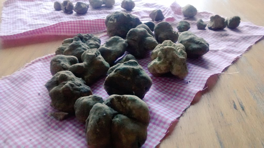 TrufflesLondon's tweet photo. #WhiteTruffles anyone? We are @hernehillmarket today until 4pm!! Love is in the air!! #truffles #italianindulgence https://t.co/8CWilwtYWV