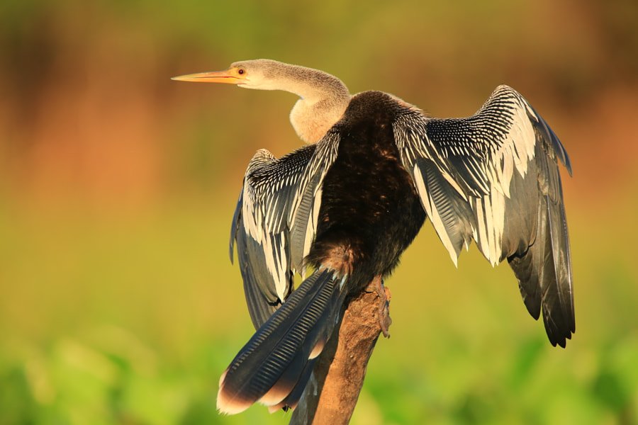 <a href="/omniajen/">ʝąʑ🌷</a> <a href="/ScarfaceQbc/">Scarface #TT4F #MGWV</a> @RaisAlGhousia <a href="/fulla_studio/">Fulla Studio</a> <a href="/vilaandrealili1/">AňԀяєa し.❥ ∞</a> <a href="/V2_N_St0/">Vanessa ™#MGWV</a> @Claire_MGWV <a href="/Quinnqueens/">Quinn 💛(G.Quinn Rogers)</a> @ZigIar @HotSonna1 <a href="/kleinslag/">⭐️Ꮩ̼̐͜͡Ꮠ͋͢Ꭾ•ღ🅹🅰🅽ღ•ℳ Ꮆ Ꮗ Ꮙ•ღ</a> <a href="/Ahmad_Haif/">Ahmad Haif 𓂆 🇵🇸</a> <a href="/AdryMMP/">AdryMMP</a> <a href="/MAJIX/">johnny majix</a> @princess1137373 <a href="/musfaca/">M.Fatih Çalıkoğlu</a> <a href="/KKieks/">☆*°௫•♅*ҚӄᎥℰkֆﷲ ༮㋡</a> <a href="/DOXAgr/">DOXA ( δόξα )</a> @PabloPROMOs <a href="/CDawk1/">C Daw</a> #IFB😀 #TmSMILE ㋡ ◈ ƒrℯℯ ƒℴℓℓℴω*ﾟ◈ #TmNature🌿 #TT4F🐬 #TFZ🌻
⭐️<a href="/ScarfaceQbc/">Scarface #TT4F #MGWV</a> @RaisAlGhousia <a href="/fulla_studio/">Fulla Studio</a> @Vilaandrealili1 <a href="/V2_N_St0/">Vanessa ™#MGWV</a> @Claire_MGWV <a href="/Quinnqueens/">Quinn 💛(G.Quinn Rogers)</a> @ZigIar @HotSonna1 <a href="/omniajen/">ʝąʑ🌷</a> <a href="/kleinslag/">⭐️Ꮩ̼̐͜͡Ꮠ͋͢Ꭾ•ღ🅹🅰🅽ღ•ℳ Ꮆ Ꮗ Ꮙ•ღ</a> <a href="/Ahmad_Haif/">Ahmad Haif 𓂆 🇵🇸</a> <a href="/AdryMMP/">AdryMMP</a> <a href="/MAJIX/">johnny majix</a> @princess1137373 <a href="/musfaca/">M.Fatih Çalıkoğlu</a> <a href="/KKieks/">☆*°௫•♅*ҚӄᎥℰkֆﷲ ༮㋡</a> <a href="/DOXAgr/">DOXA ( δόξα )</a>