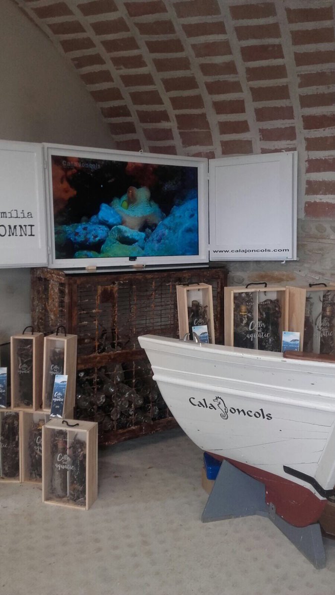 CalaJoncols's tweet photo. Heu vist que maco ens ha quedat l'estand del #NadalMarket d'Ordis? Ens hi trobareu avui i demà! #videlmar #calajoncols #regalsespecials @Somnidequatre https://t.co/P9MOPeOsLY