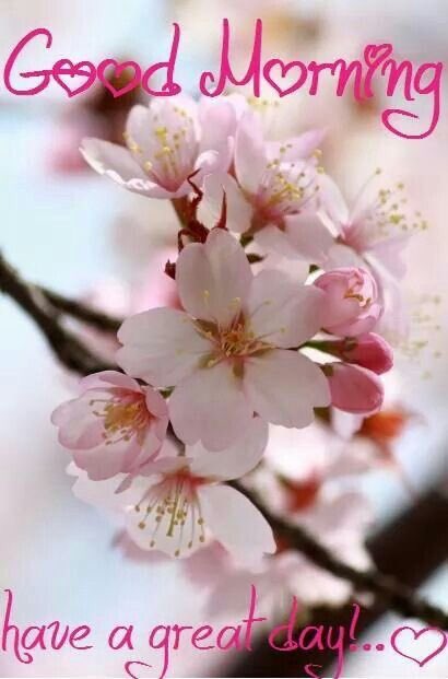 Karen ♥️😘🐶🤗💐♥️🐶 tweet media