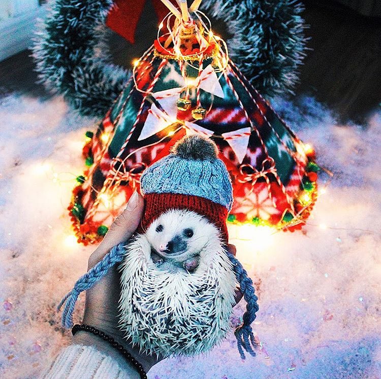 Saturday 2nd December, 2017