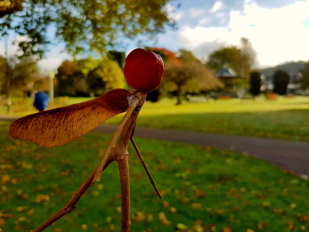 Walkthrough Neath Port Talbot tweet media