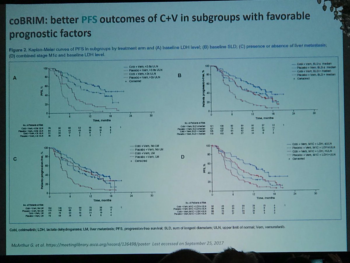 BernardAFox's tweet photo. Dr Igor Puzanov Phase I leader @RoswellPark /Combo BRAF + MEK inhibition/ see Long-term response in low LDH / Low tumor burden/ 3 or fewer Metastatic sites/ changing paradigm of short-term response to targeted agent #Bridge2017 @sitcancer @Oncoinfo_it @FondMelanoma @PAscierto https://t.co/5lNhcUYz3G