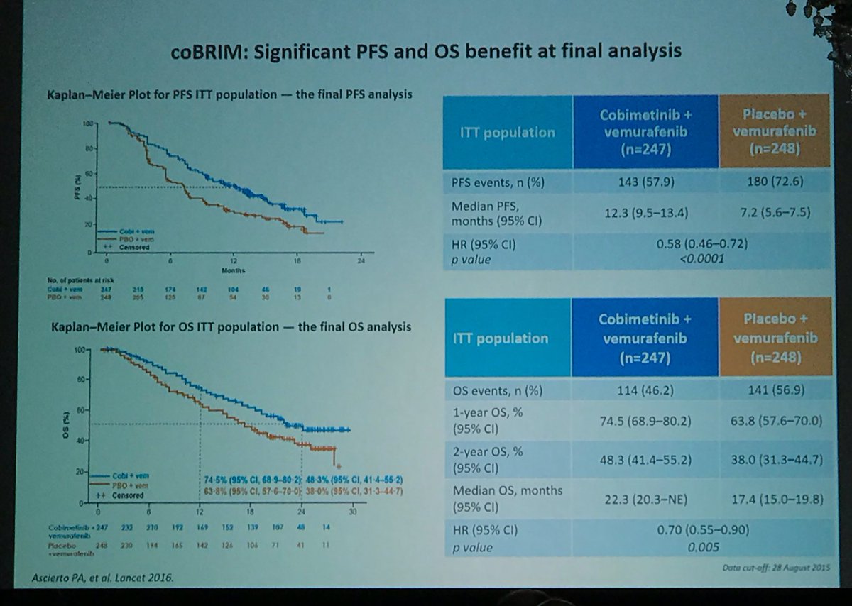 BernardAFox's tweet photo. Dr Igor Puzanov Phase I leader @RoswellPark /Combo BRAF + MEK inhibition/ see Long-term response in low LDH / Low tumor burden/ 3 or fewer Metastatic sites/ changing paradigm of short-term response to targeted agent #Bridge2017 @sitcancer @Oncoinfo_it @FondMelanoma @PAscierto https://t.co/5lNhcUYz3G