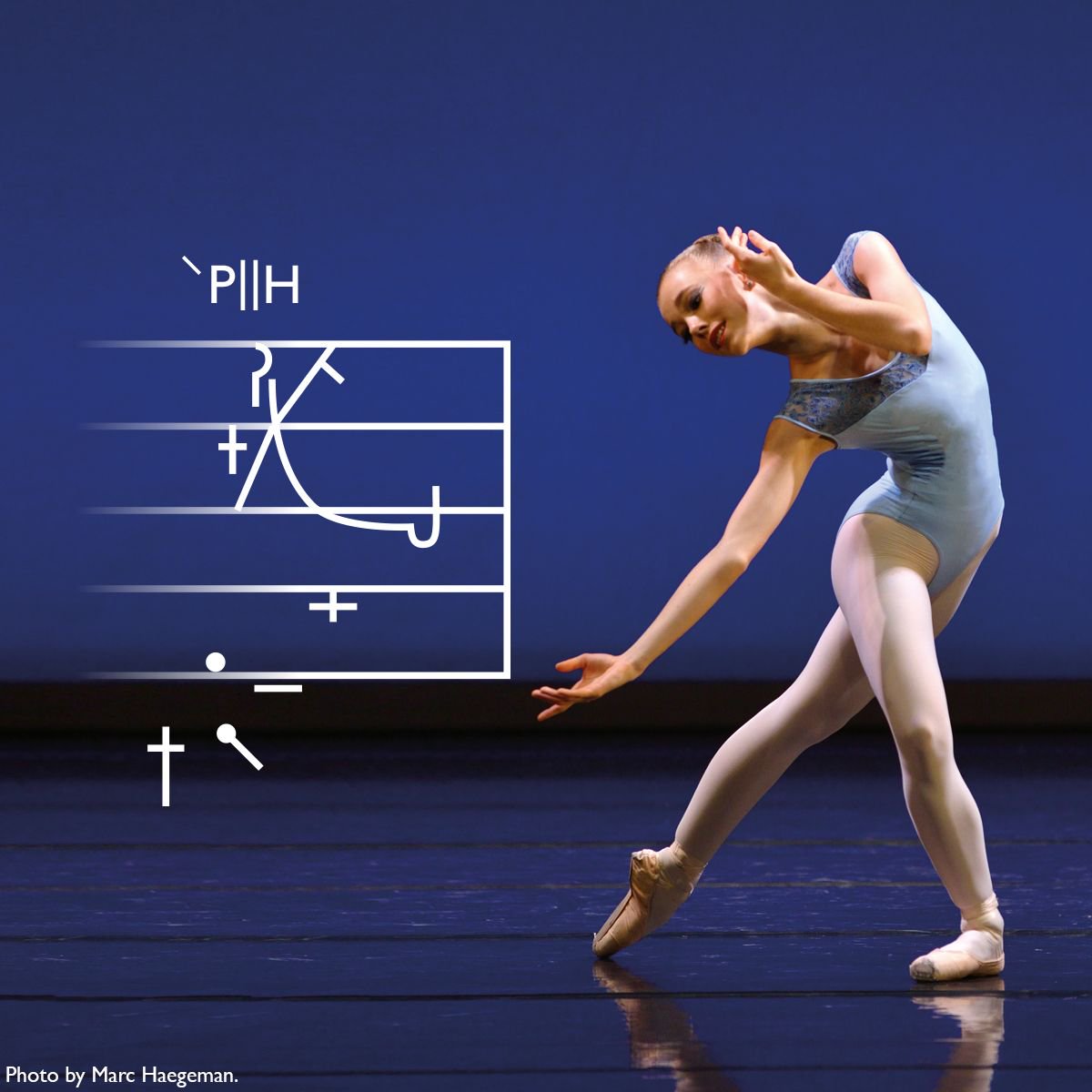 Royal Academy of Dance on Twitter "Flexible study, with a solid