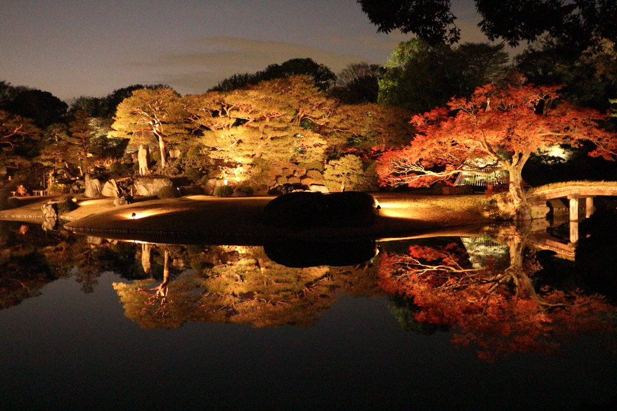 六義園の紅葉の見頃とライトアップは 混雑や駐車場も ツクの日々