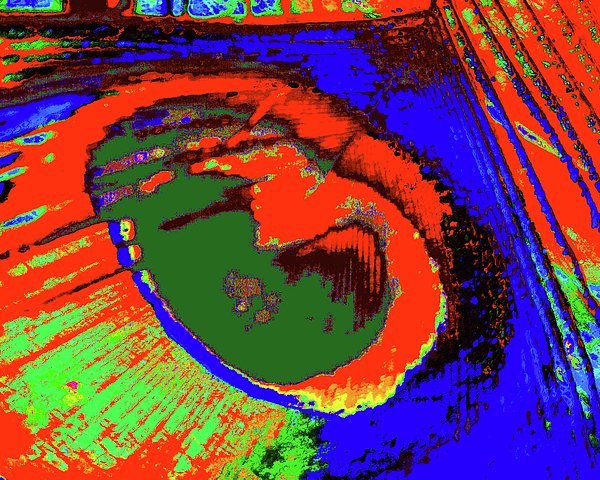 New artwork for sale! - "Plumage 14" - fineartamerica.com/featured/pluma… @fineartamerica