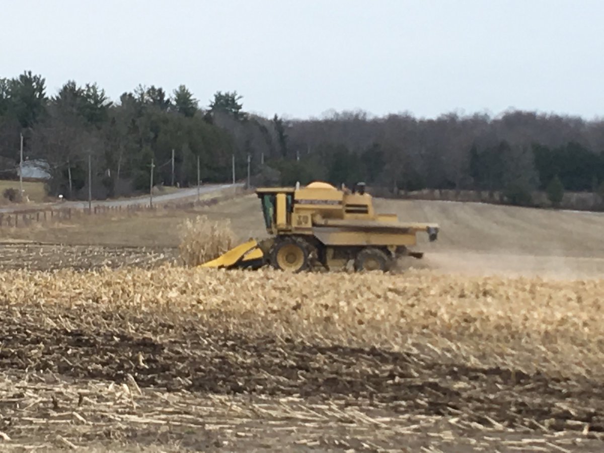McphailShelley's tweet photo. Big shout out to @ThomWesley - finishing up #corn17 for lots of customers this week #ontag #excellentcustomerservice https://t.co/aRLV5a882p