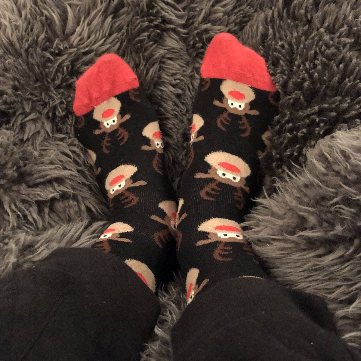 AmazingPhil's tweet image. FESTIVE LEVELS INCREASING