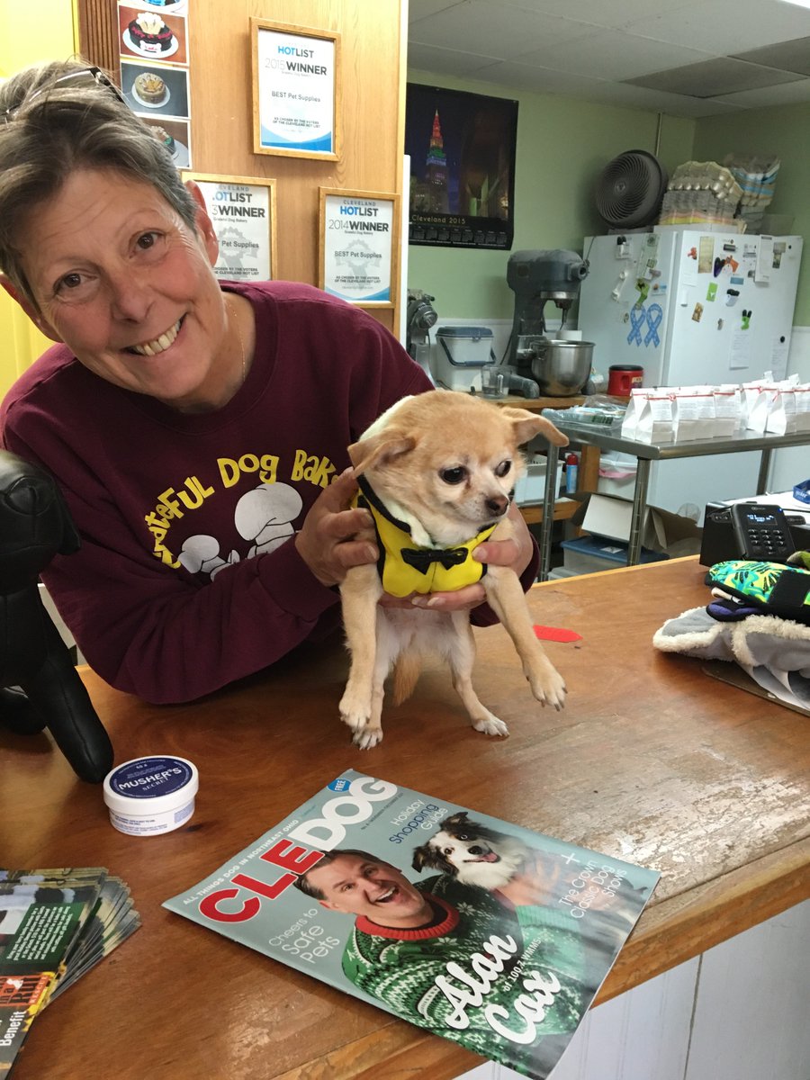 CLEDOGmag's tweet photo. Miss Megan went coat shopping yesterday @GratefulDogB. Her mommy couldn't decide which one to buy, so she bought both! Her mommy also picked up some #MushersSecret and a copy of @CLEDOGmag. What a lucky dog!
#ReadyForTheCold #Chihuahua https://t.co/EUs4hm9Ccj