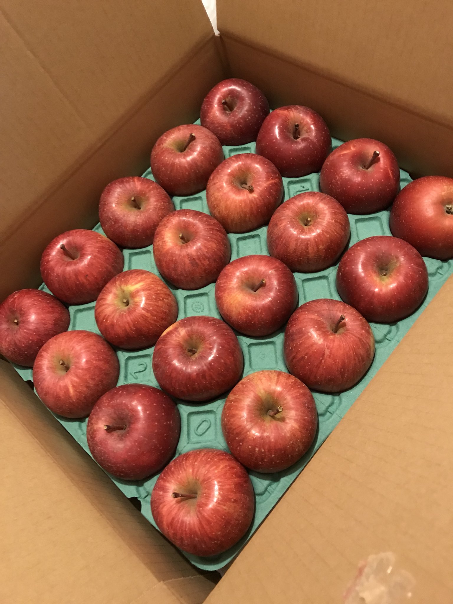 祝開店！大放出セール開催中】 GIANTりんご様amwh staffkart.com