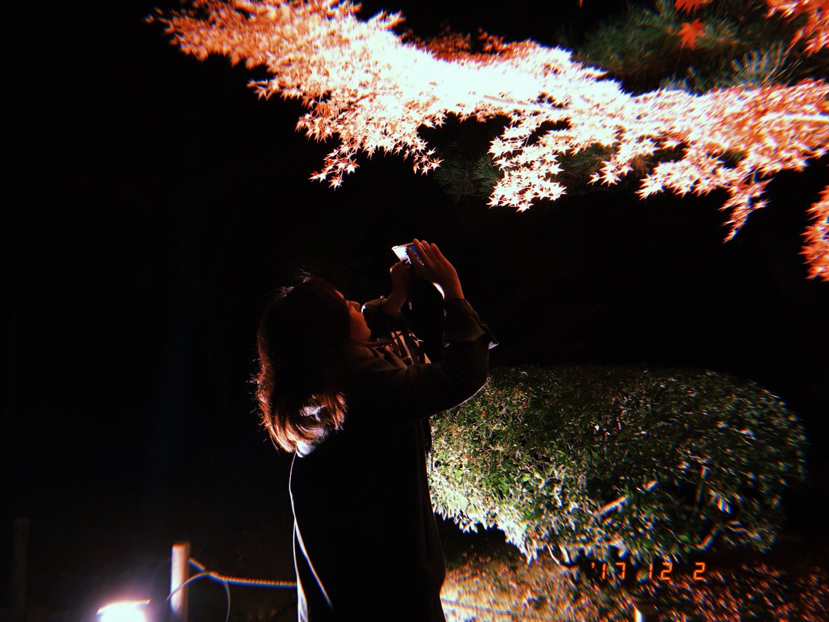 iyo__1008's tweet photo. 平等院⛩

みきと喋ってたらがんばろってモチベーションあがる🤝 https://t.co/dIdODTbEST