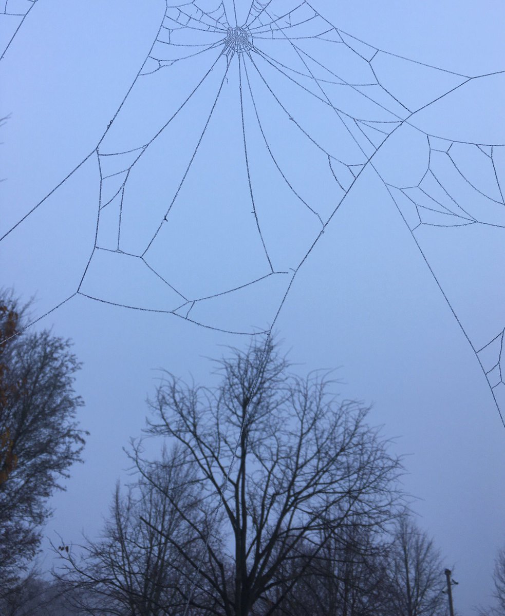 dirklaverge's tweet photo. #vrtweer @frankdeboosere @sabinehagedoren @GeertNaessens @JillPeetersWX @FocusWTV @weerplaatjes , roeselare 15u00 https://t.co/atw7V238dr