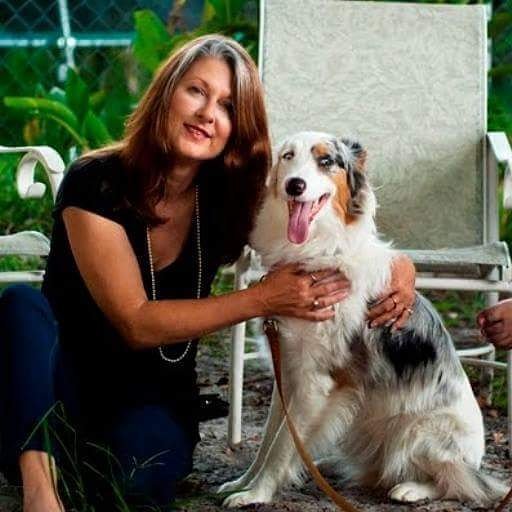 TheDogLiberator's tweet photo. Thank you for an awesome #GivingTuesday! #tdl #ladydi #thedogliberator #walkadog #floridadog #centralflorida #smartdog #rescuedog #itstartswithasmile #amazonsmile https://t.co/j7oBZfKjgk