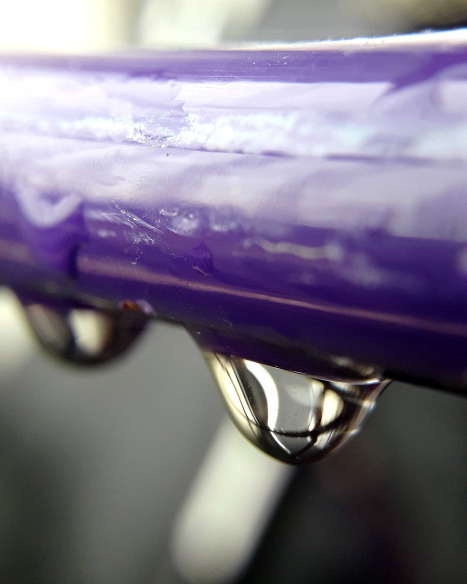 felixfsantistev's tweet photo. RT https://t.co/OFnK0Yo6Nn #waterdrops #macro #macrophotography #nature #naturephotography #winter #winteriscoming #purple #water #passion #inspiration #macrocapture #naturelover #miror #reflect… https://t.co/XA4bKysrIT