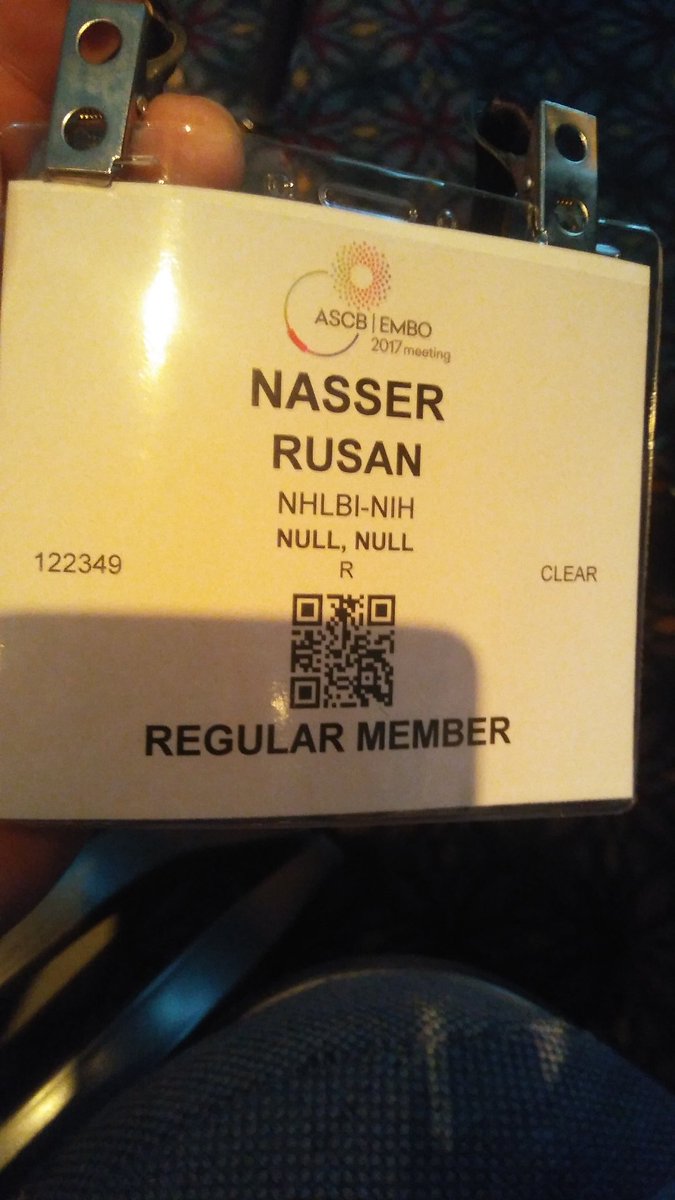 Nasser Rusan 🔬 ناصر الروسان tweet media