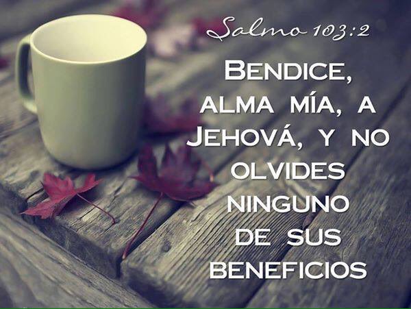 Loren Castillo on X: Salmos 103:2 Alaba, alma mía, al Señor, y no olvides  ninguno de sus beneficios. Amen, mi alma te Alaba Señor!   / X